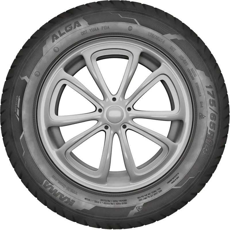 KAMA ALGA (НК-531) нешип в Абазе — KAMA TYRES KAMA ALGA (НК-531) нешип в Абазе